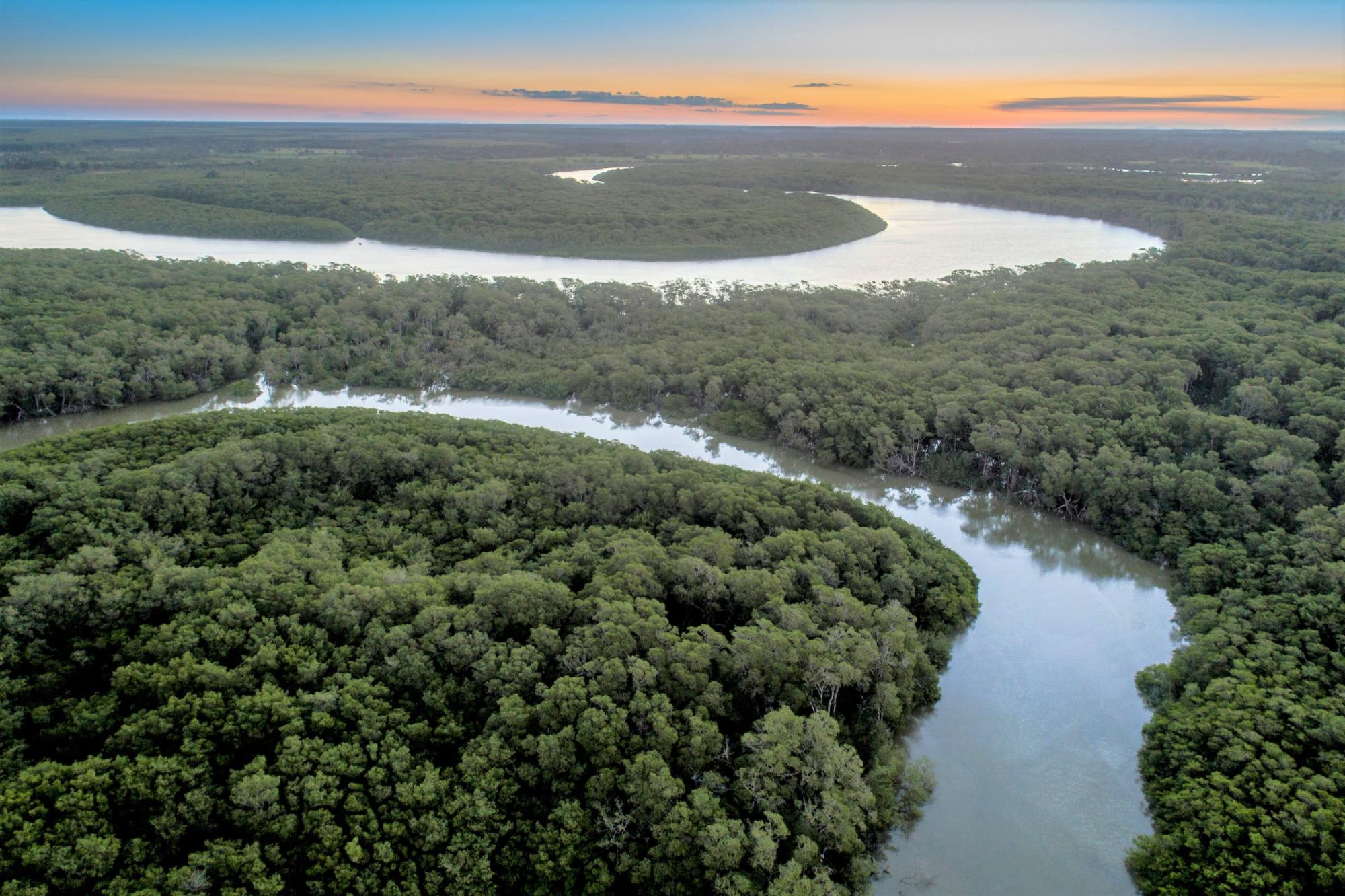 Suzano no Conselho de uma das 10 principais iniciativas de restauração da Mata Atlântica no mundo