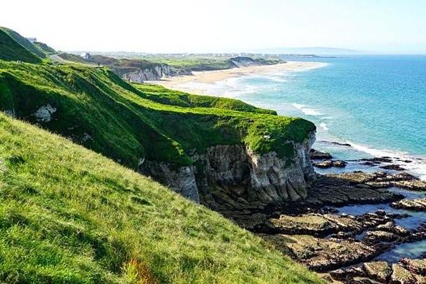Por que não existem cobras na Irlanda?