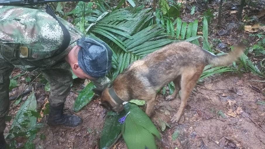 Crianças e bebê são encontrados vivos 16 dias após queda de avião