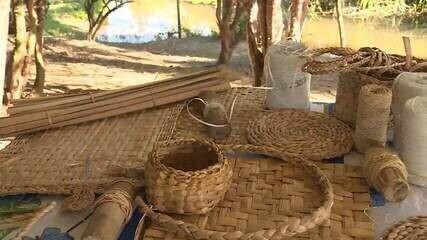 Técnica de artesanato com planta aquática taboa é passada entre gerações e ajuda a sustentar famílias no ES
