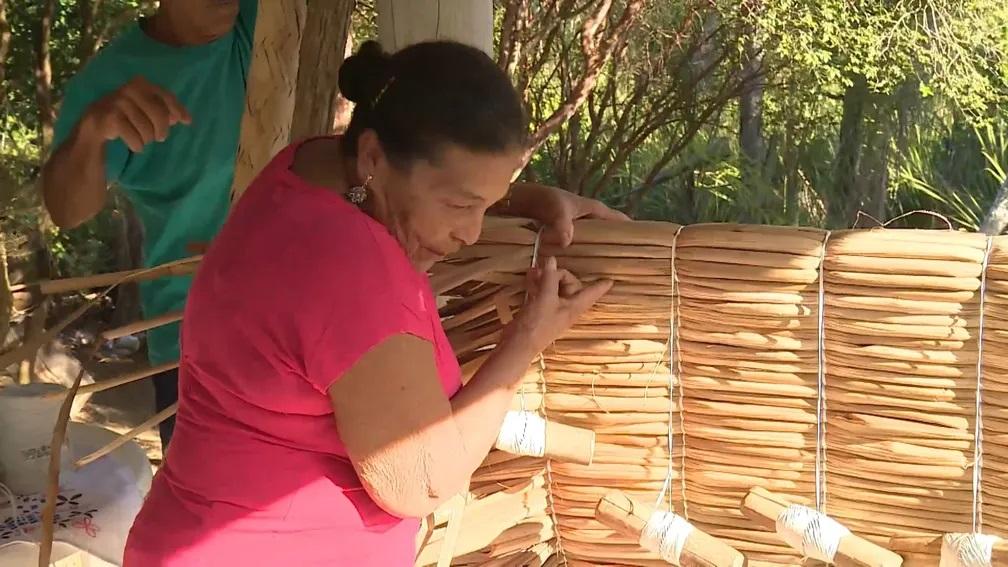 Técnica de artesanato com planta aquática taboa é passada entre gerações e ajuda a sustentar famílias no ES