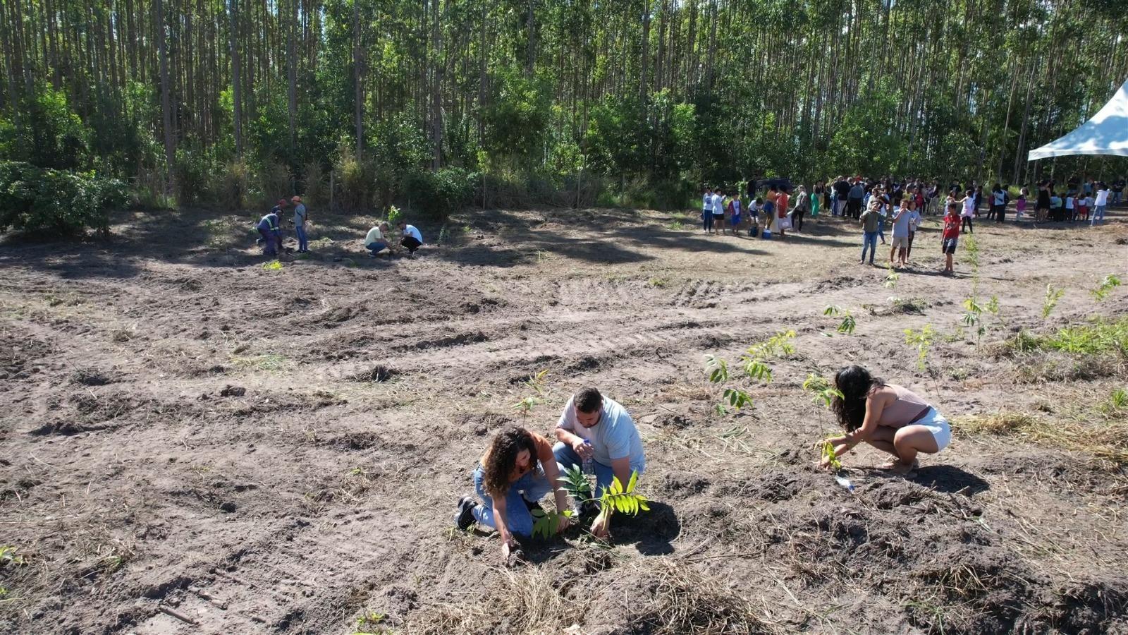 Horto Municipal: São Mateus ganha um presente para esta e as próximas gerações no Dia Mundial do Meio Ambiente