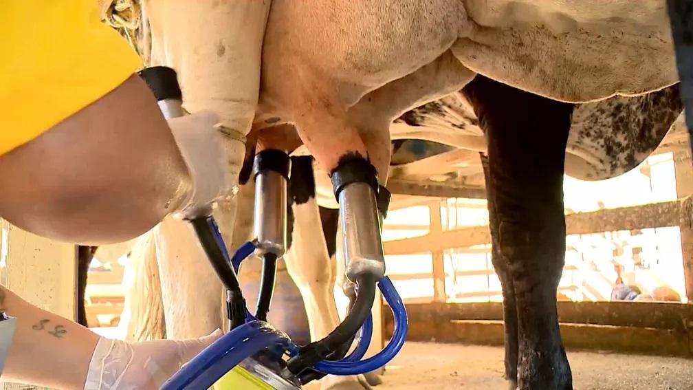 Seca deve ser mais rigorosa no inverno e produtores investem em alternativas para sofrerem menos impactos no ES