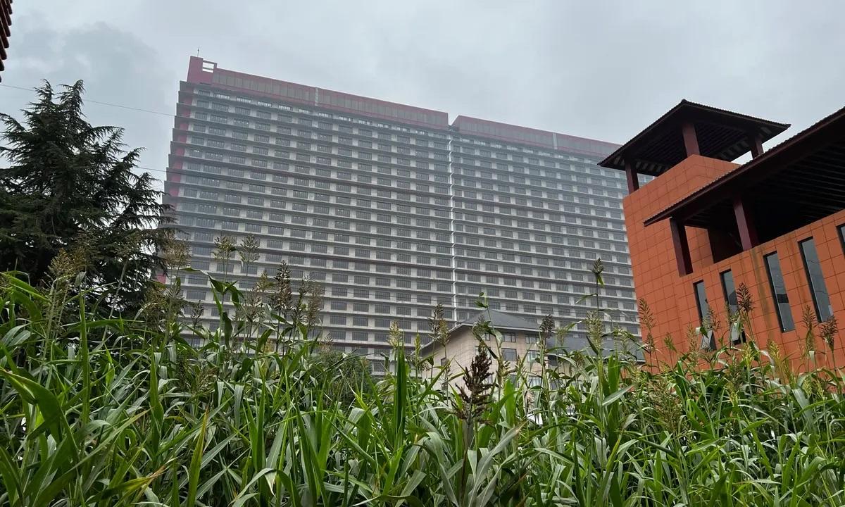 Prédios com 650.000 suínos na China são gigantes