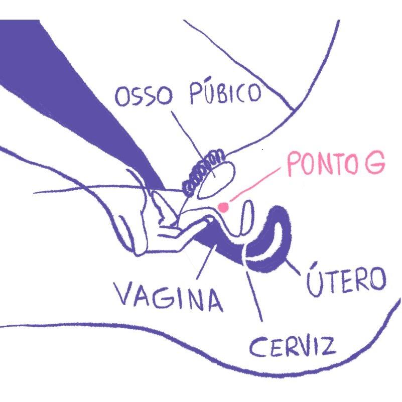Ponto G feminino se revela mais complexo do que a ciência imaginava