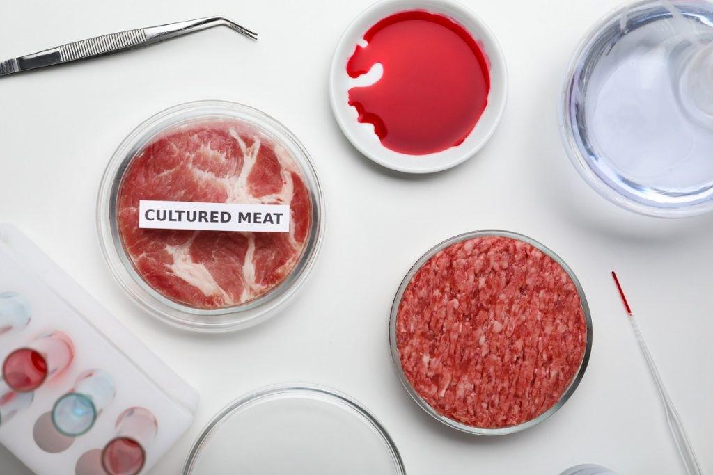 Carne criada em laboratório já pode ser produzida e vendida nos EUA
