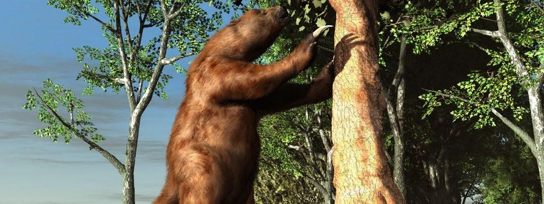 ‘Primeiros brasileiros’ faziam joias de preguiças-gigantes há 25 mil anos