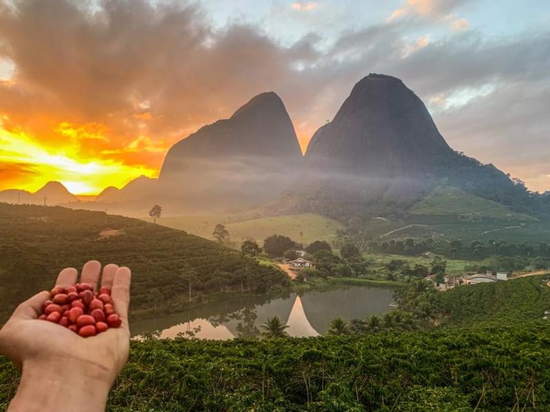 Três em cada quatro estabelecimentos rurais no Espírito Santo são de agricultura familiar