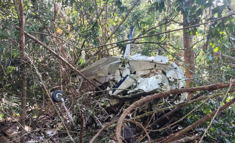 Pai e filho morrem em queda de avião em floresta