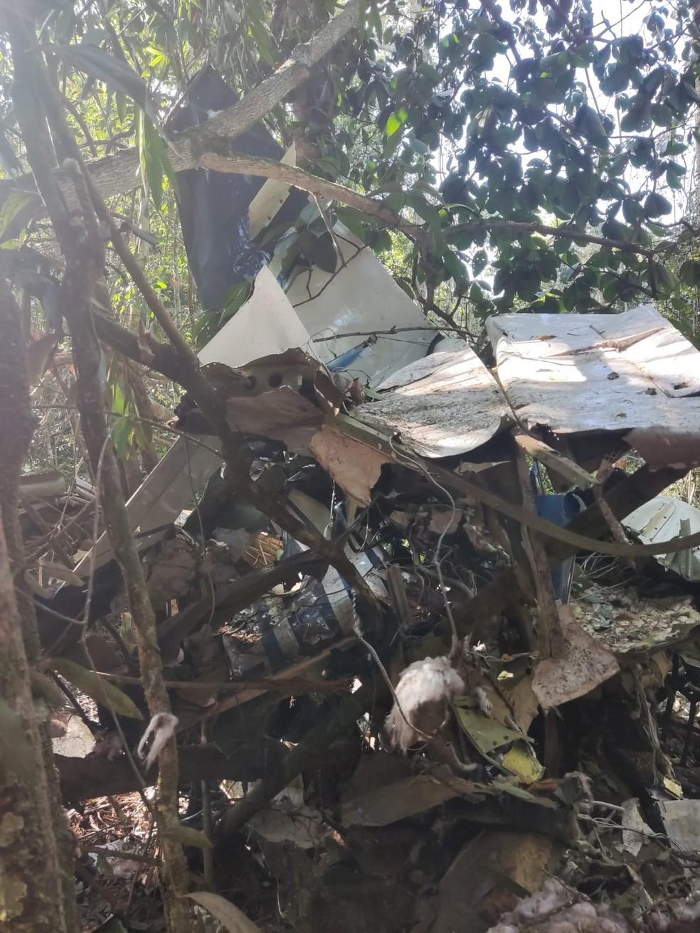 Pai e filho morrem em queda de avião em floresta
