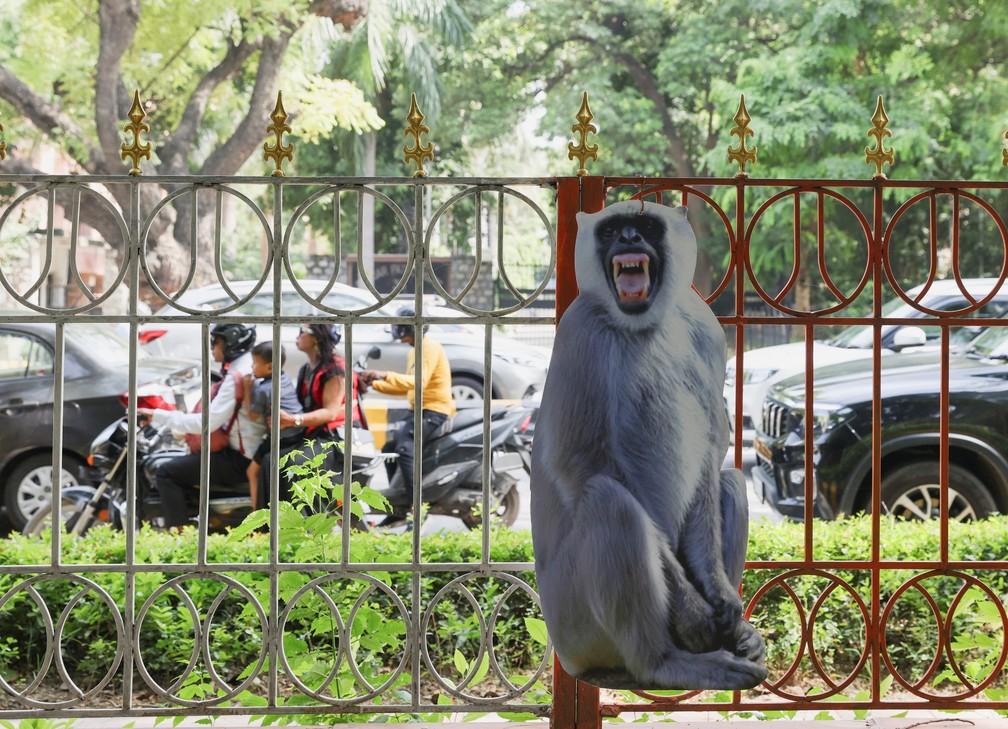 Índia usará ‘homens macaco’ e totens para espantar primatas de sede de cúpula do G20
