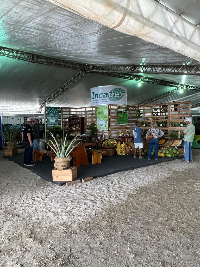 Diversão e oportunidades de negócios caminhando juntos feira de agronegócio está confirmada na ExpoSama 479 anos, em São Mateus, ES