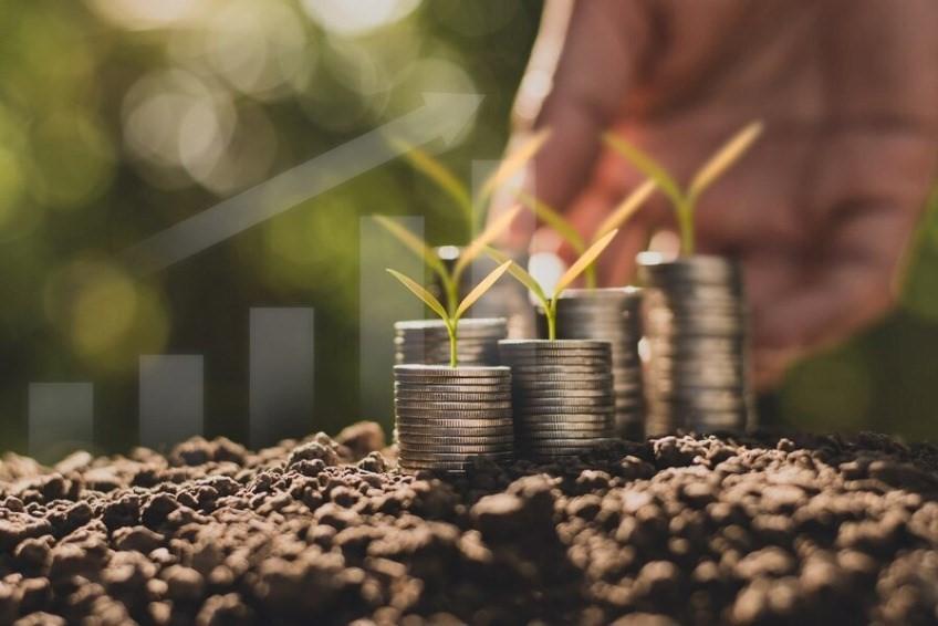 Valor das aplicações de crédito rural cresce 30% no Espírito Santo