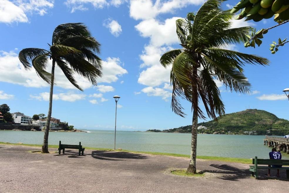 Temporal destelha casas, derruba árvores, portões e muros em Colatina, ES