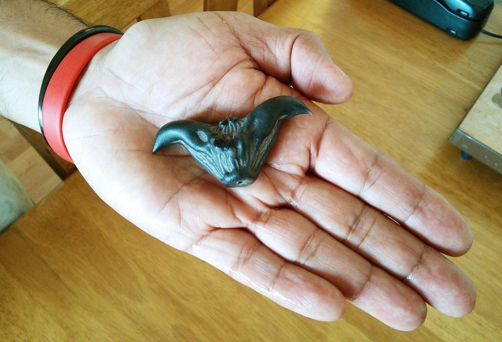 Parece um morcego, mas não é! Conheça a castanha exótica de 3 mil anos consumida na Ásia