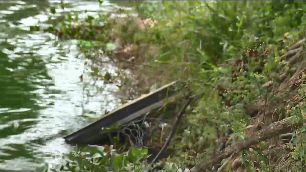 Plantas que crescem em ambientes poluídos formam ‘tapete verde’ em lagoa de Linhares, no ES