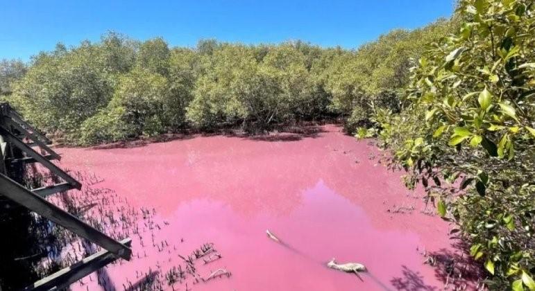 Área pantanosa da Austrália adquire cor rosa brilhante, e ninguém sabe o motivo