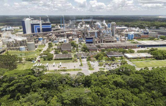 Suzano vai investir R$ 1,17 bilhão em nova fábrica de papel e reforma da unidade de Aracruz