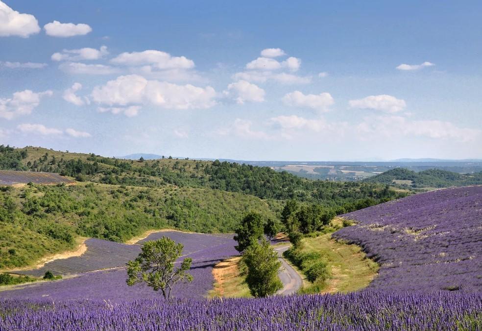 As 7 estradas mais bonitas do mundo para uma viagem de carro inesquecível