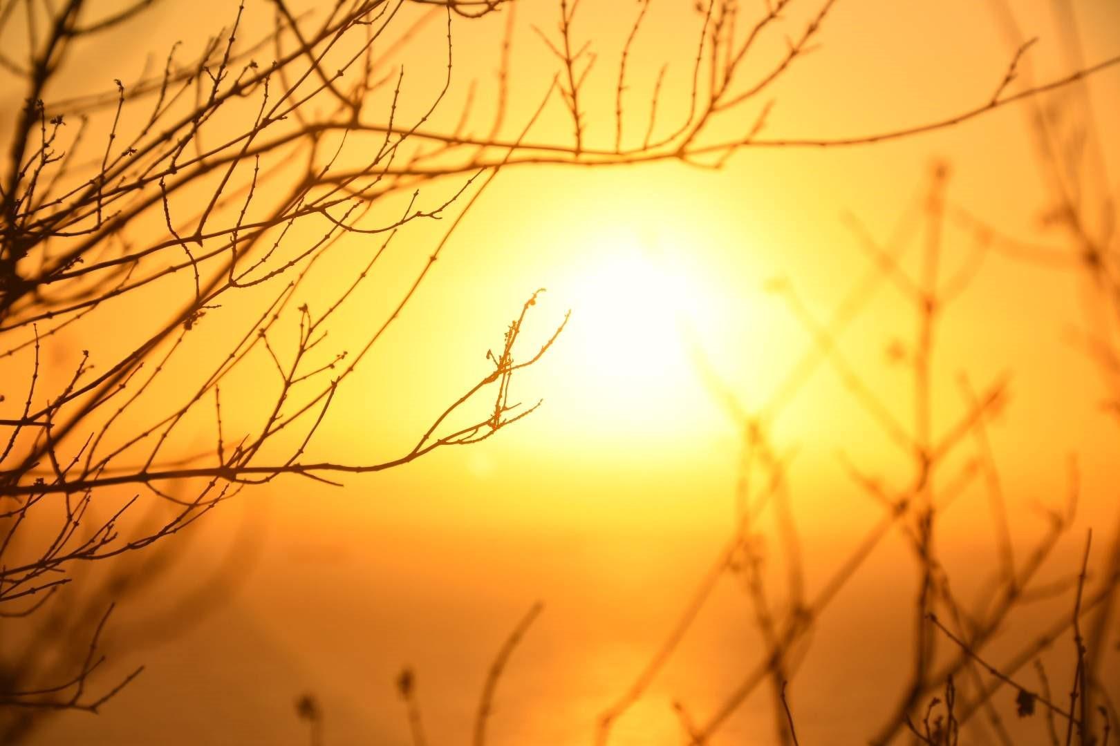 Impacto da onda de calor preocupa agricultura e pecuária no ES