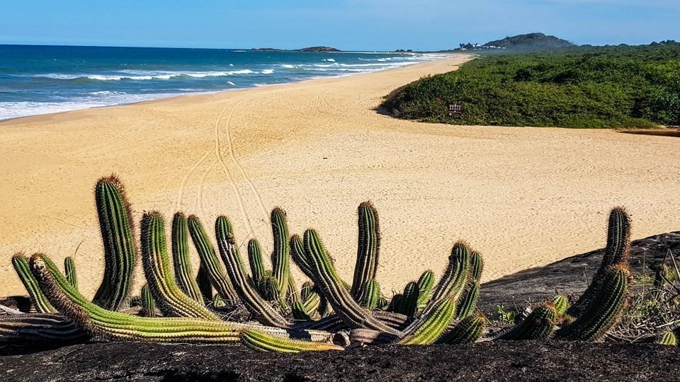 Confira como será o funcionamento dos parques estaduais no fim de ano