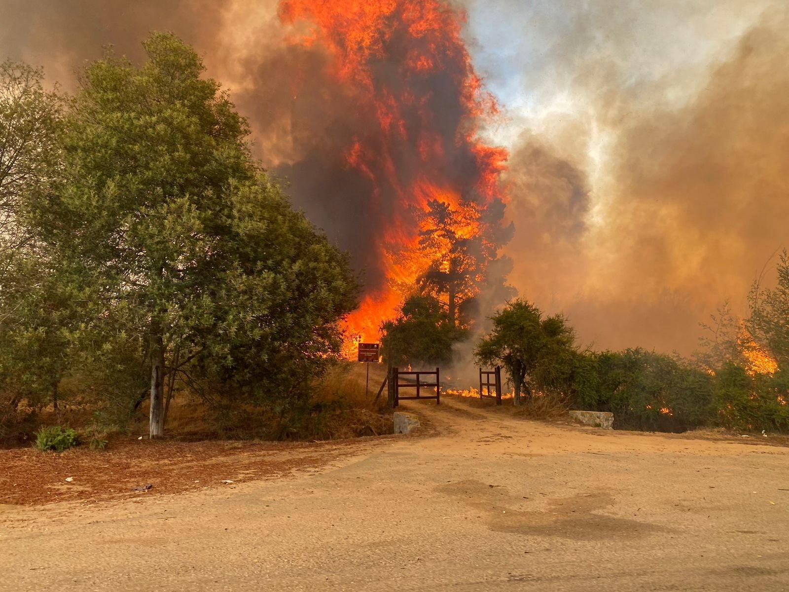 Número de mortos em incêndios florestais no Chile chega a 112