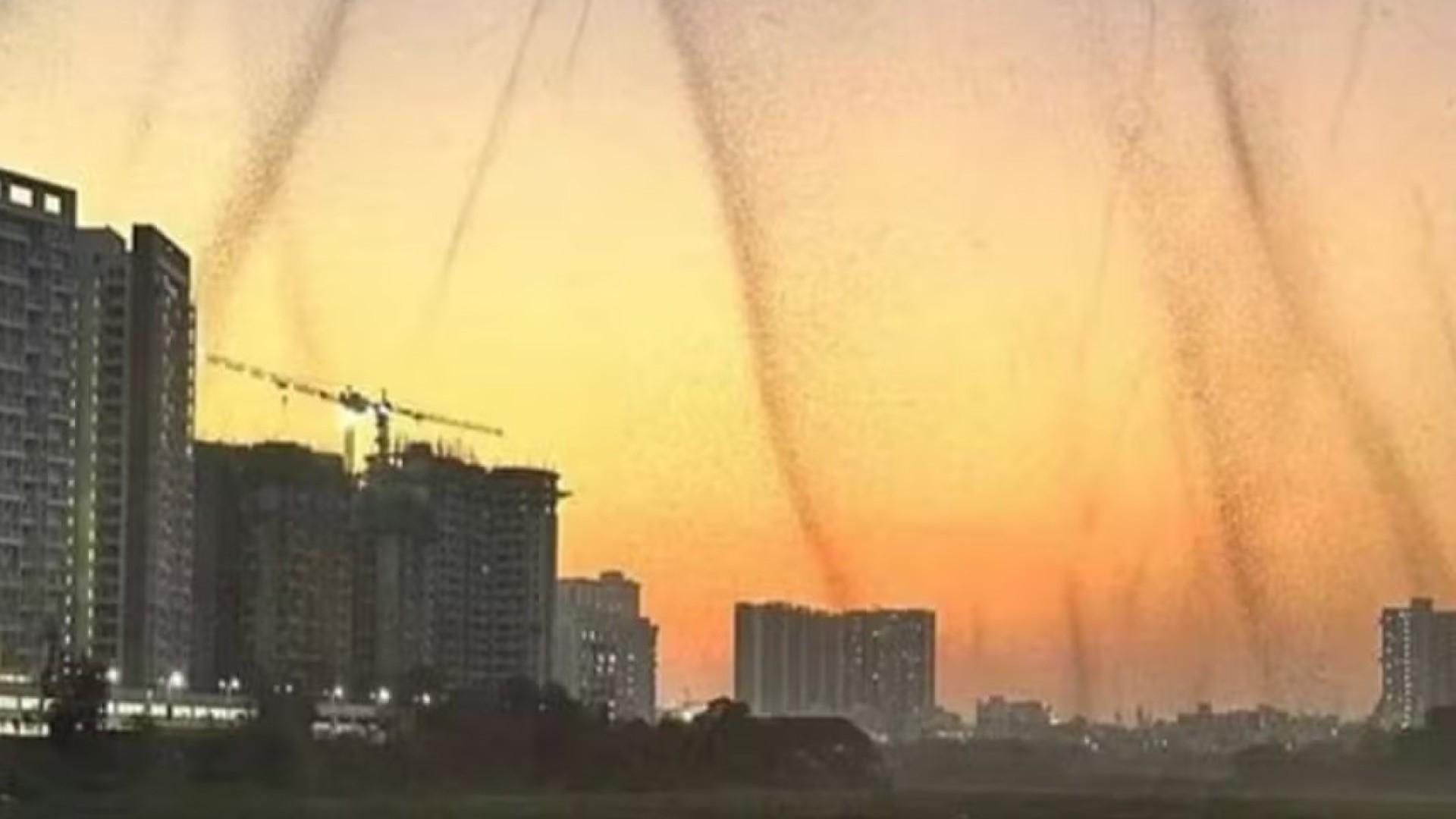 Nuvem de mosquitos aterroriza população na Índia
