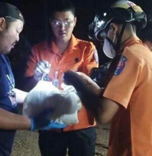 Corpo de recém-nascido é encontrado queimado e mutilado em canteiro de obras