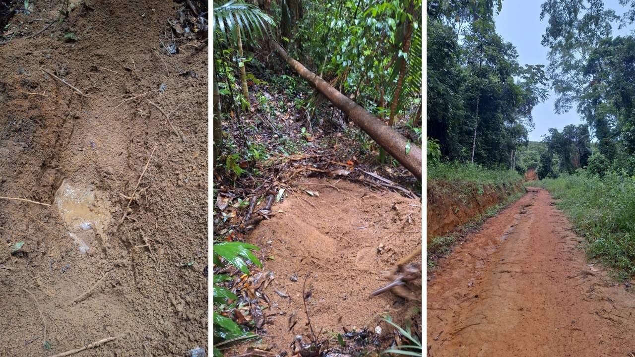 Corpo de jovem desaparecida é encontrado enterrado em cova rasa, em Marilândia, no ES