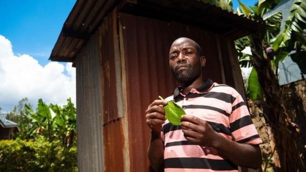 A planta usada como alternativa ao papel higiênico na África e nos EUA