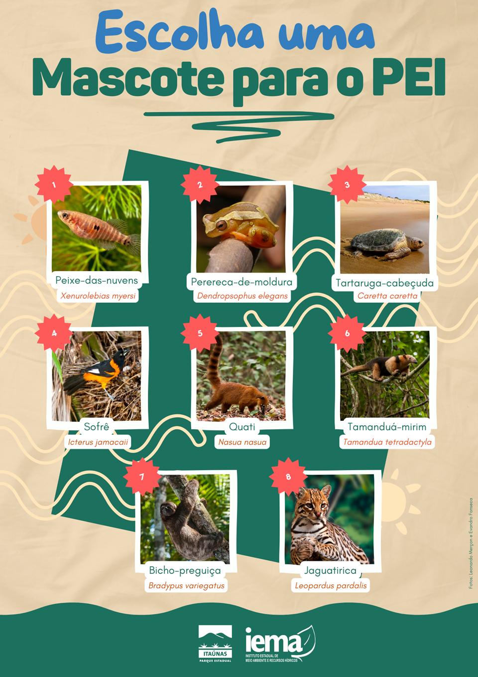 Parque Estadual de Itaúnas, em Conceição da Barra, no ES, realiza campanha para escolher mascote da nova exposição da sede