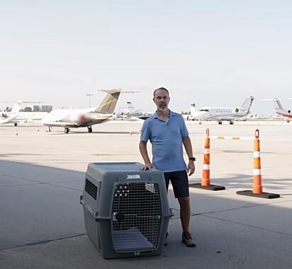 Empresário faz viagem de avião com cachorro para mostrar o que os animais sentem