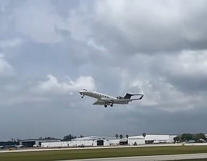 Empresário faz viagem de avião com cachorro para mostrar o que os animais sentem