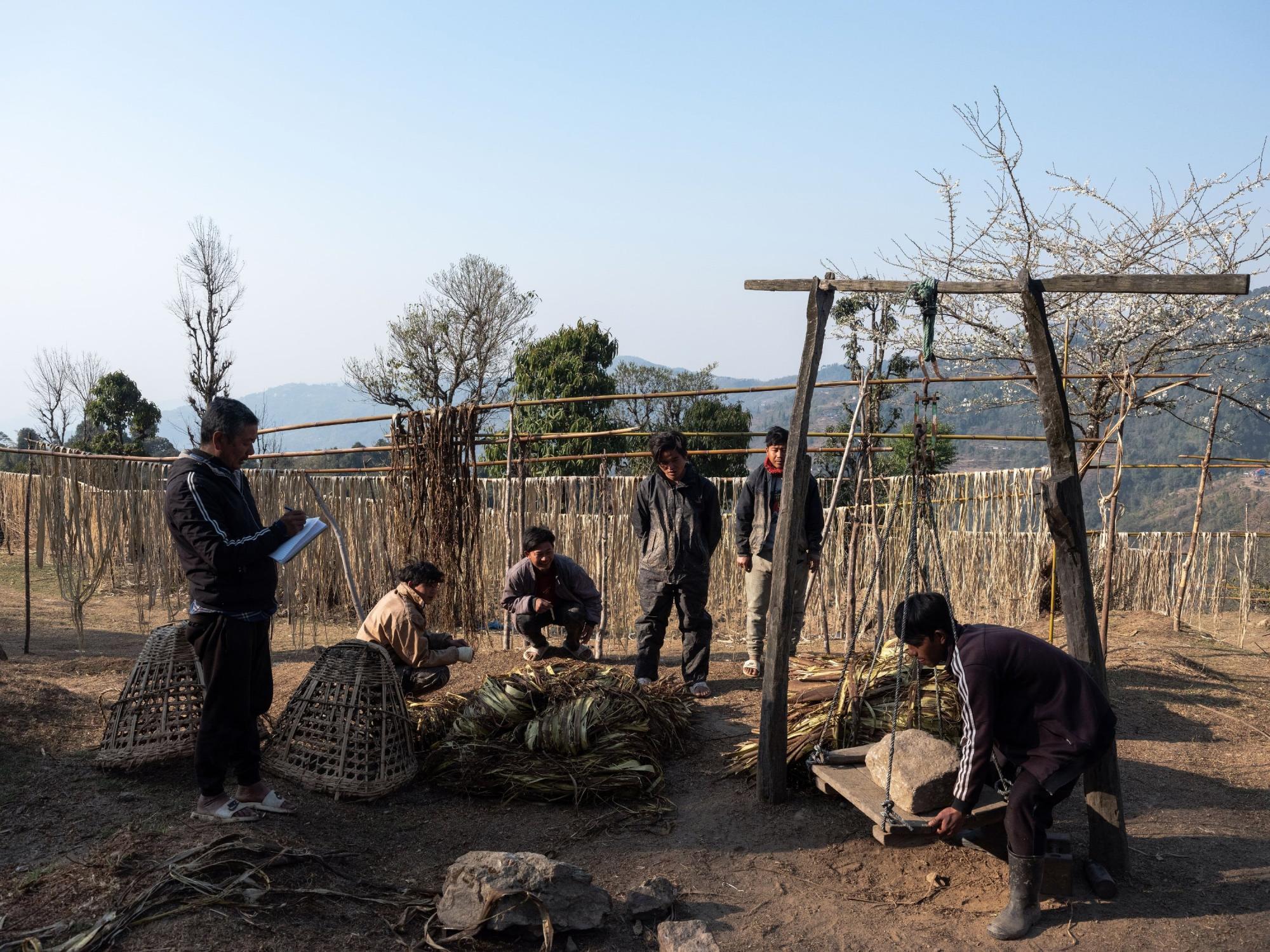 Entenda como uma planta rara faz o Nepal lucrar com o papel-moeda do Japão