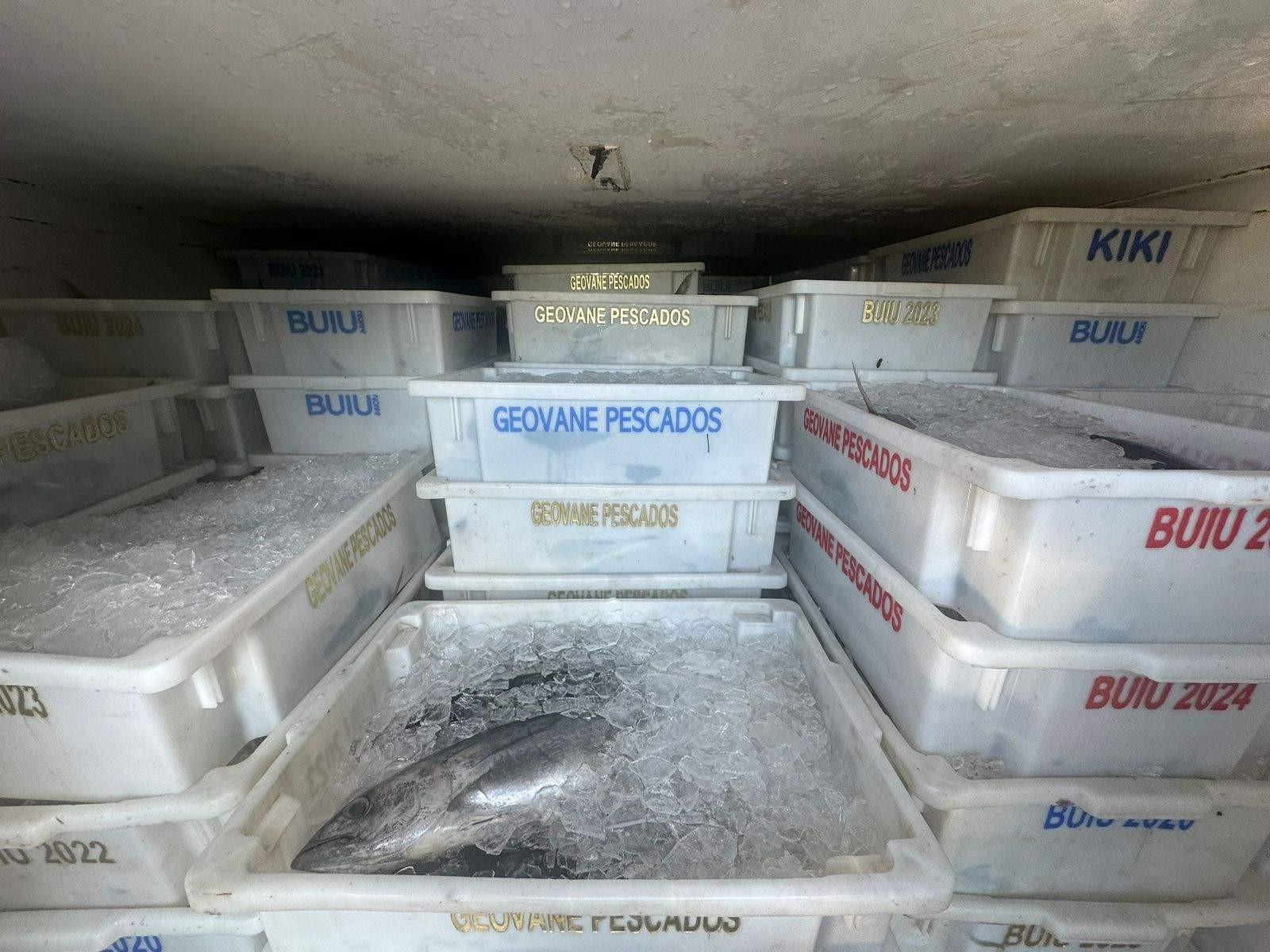 PRF apreende 10 toneladas de peixes na BR-101, no ES; carga será doada