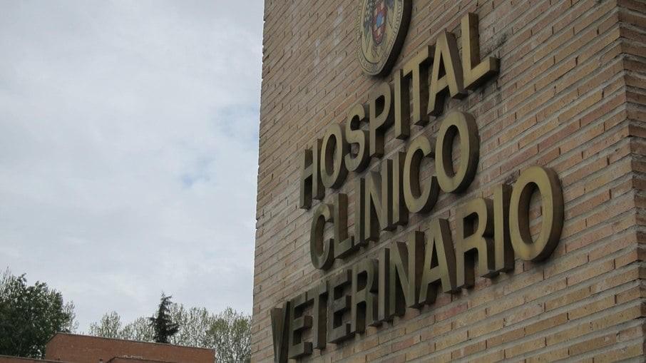 Homem é preso por manter relação sexual com cabra em hospital veterinário