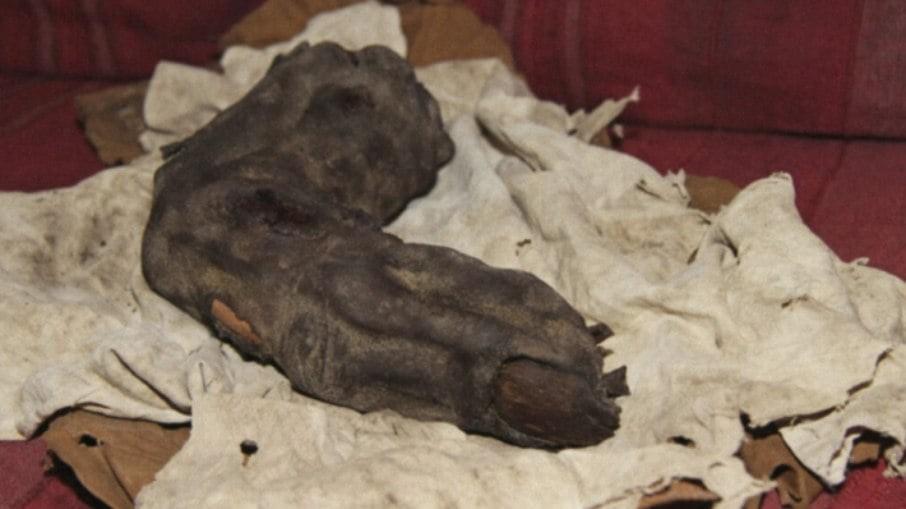 Dedo enorme de 40 cm pode provar existência de ‘gigantes’ no passado