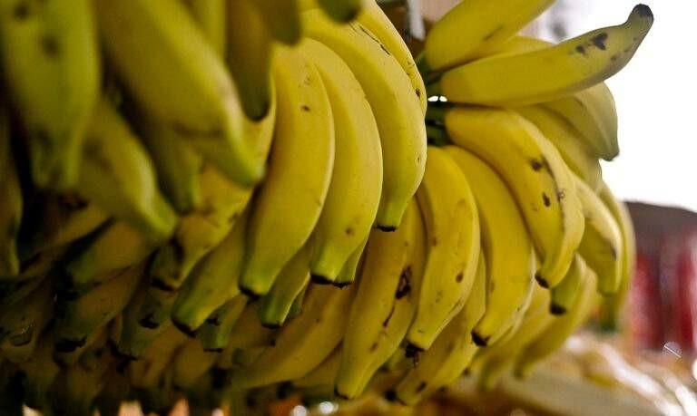 Preços da banana, da laranja e do mamão caem no atacado em maio