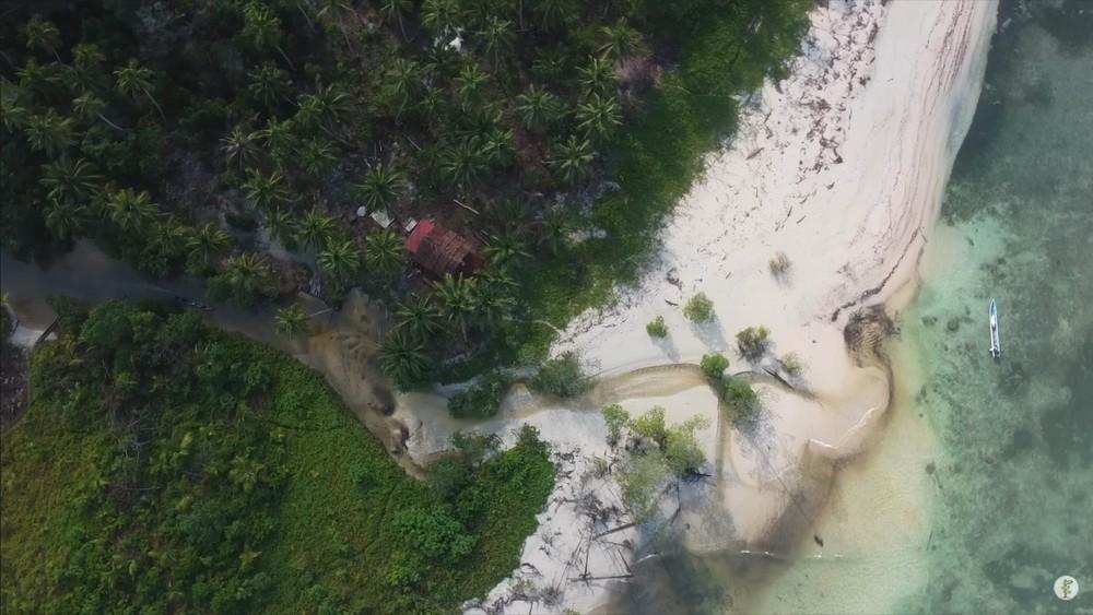 Casal que vive há 3 anos em ilha tropical isolada mostra como sobrevive desconectado