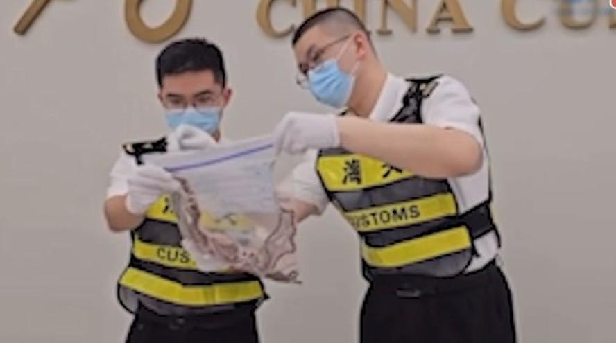 Homem é preso após tentar entrar na China com mais de 100 cobras vivas escondidas na calça