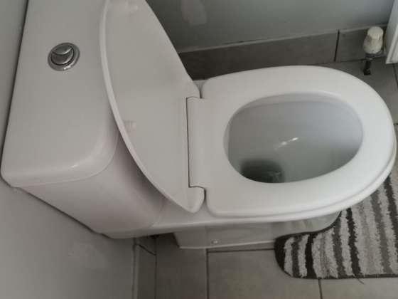 Dar descarga com a tampa do vaso aberta faz mal? Descubra!