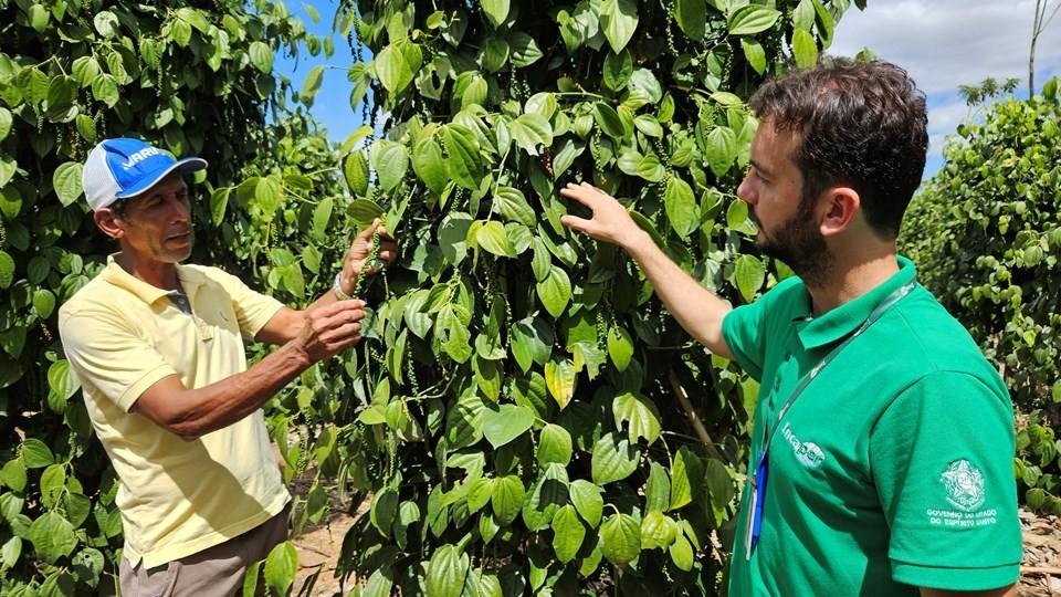 Dia da Extensão Rural é celebrado com semana de eventos no Espírito Santo