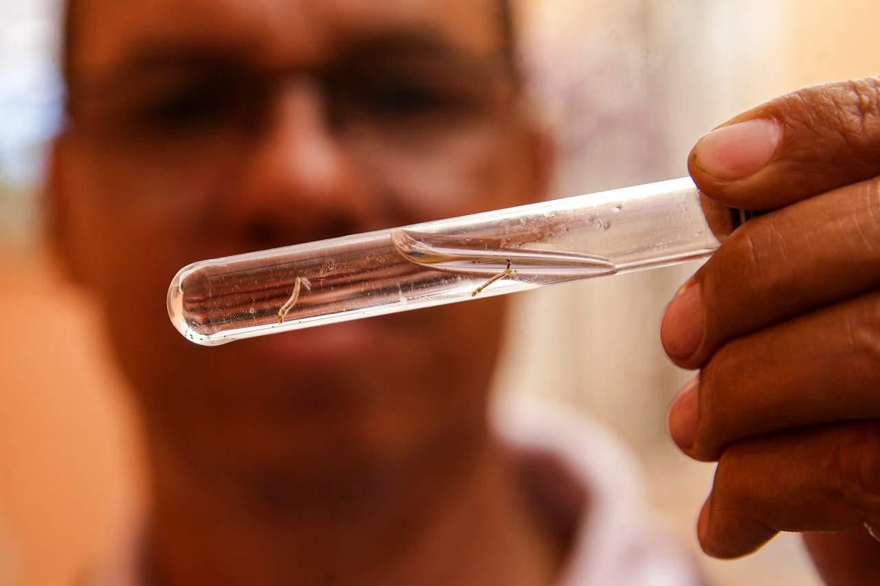 Dengue no ES: número de casos aumenta mais de 10 vezes em relação a 2022