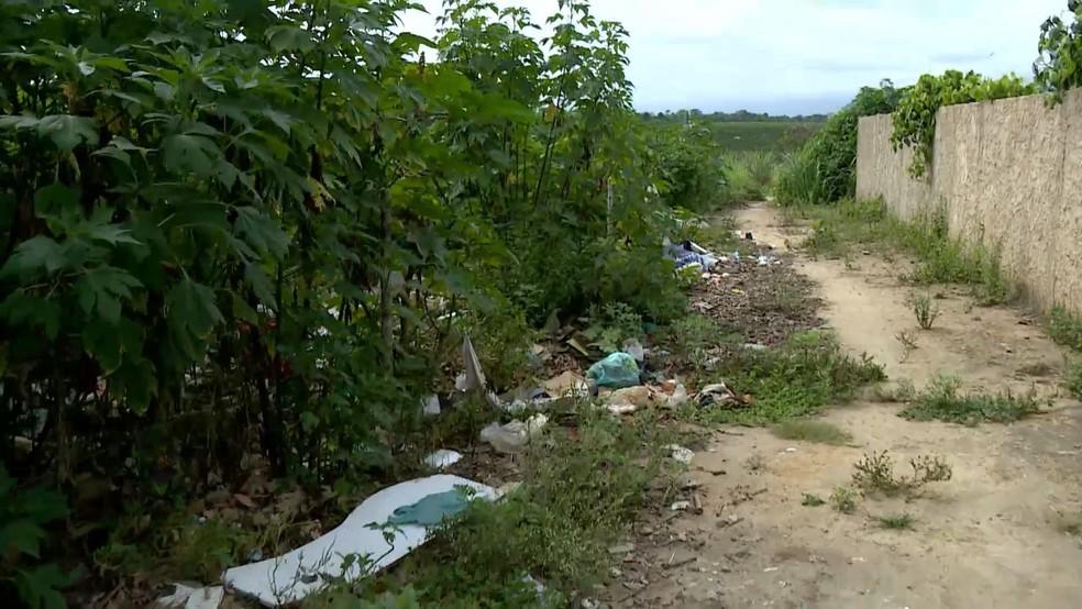 Menina de 7 anos fica em coma após ser picada por escorpião enquanto dormia, em São Mateus, ES