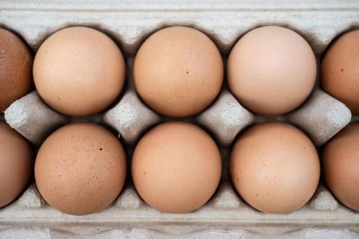 Ovo é tudo igual? Saiba a diferença entre os tipos comuns
