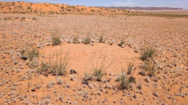 Círculos no deserto desafiam a ciência e permanecem sem explicação