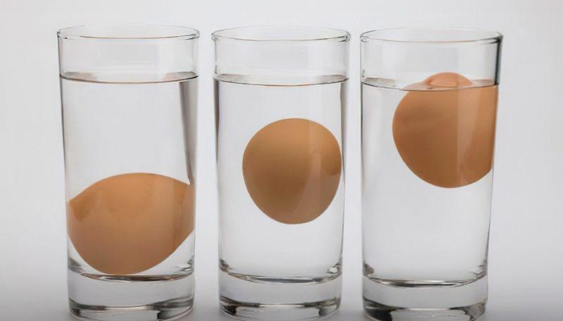 Nem uma semana, nem um mês: quanto tempo duram os ovos na geladeira?