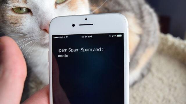 Ligações de spam: por que recebemos chamadas que ficam mudas e desligam?
