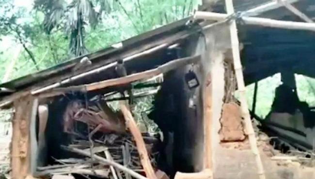 Elefante que pisoteou cadáver de mulher destruiu a casa dela e matou cabras que ela criava