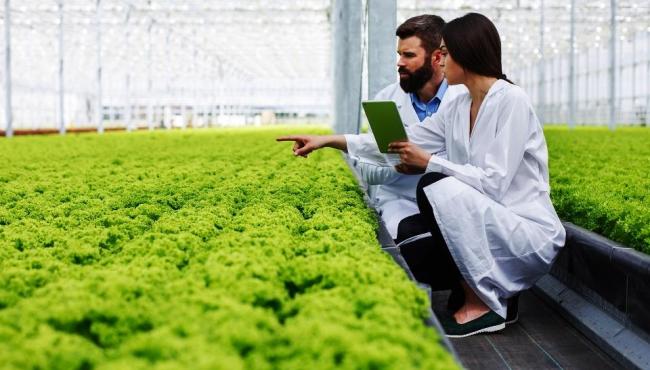 Empresários do agronegócio buscam alternativas para investimento em tecnologia